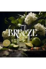 Breeze E2 Power Koku Kartuşu 125 ml